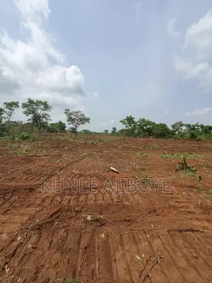 200 Acres Of Farmland For Sale In Ogbomosho