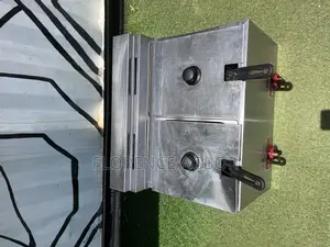 Industrial Chips Fryer