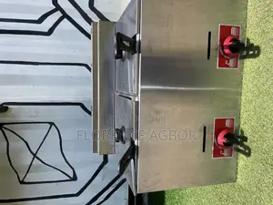 Industrial Chips Fryer