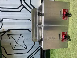 Industrial Chips Fryer