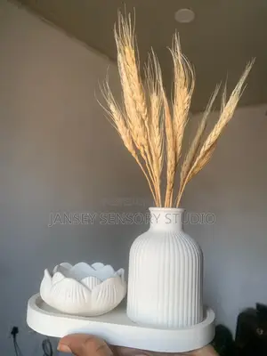 Gypsum Craft