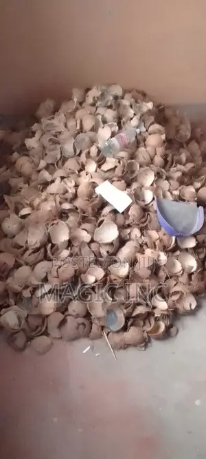 Coconut Shell