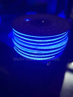 Neon Decor Light