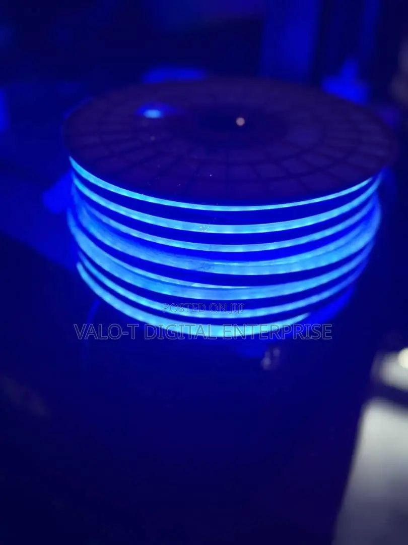Neon Decor Light