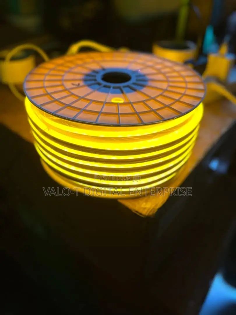 Neon Decor Light