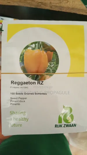 Reggaeton Rz – Sweet Pepper (F1 Hybrid)