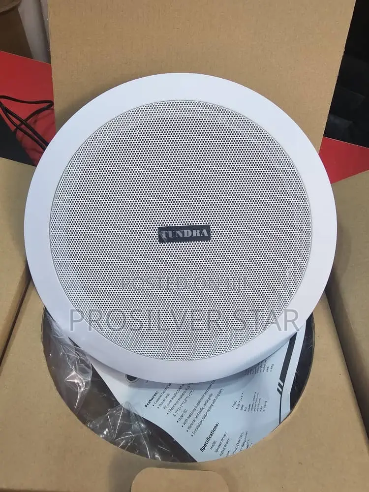 Tundra 30watts Frame Speaker T-30c