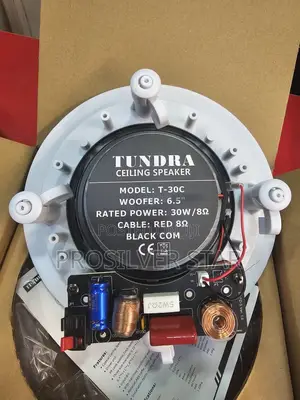 Tundra 30watts Frame Speaker T-30c