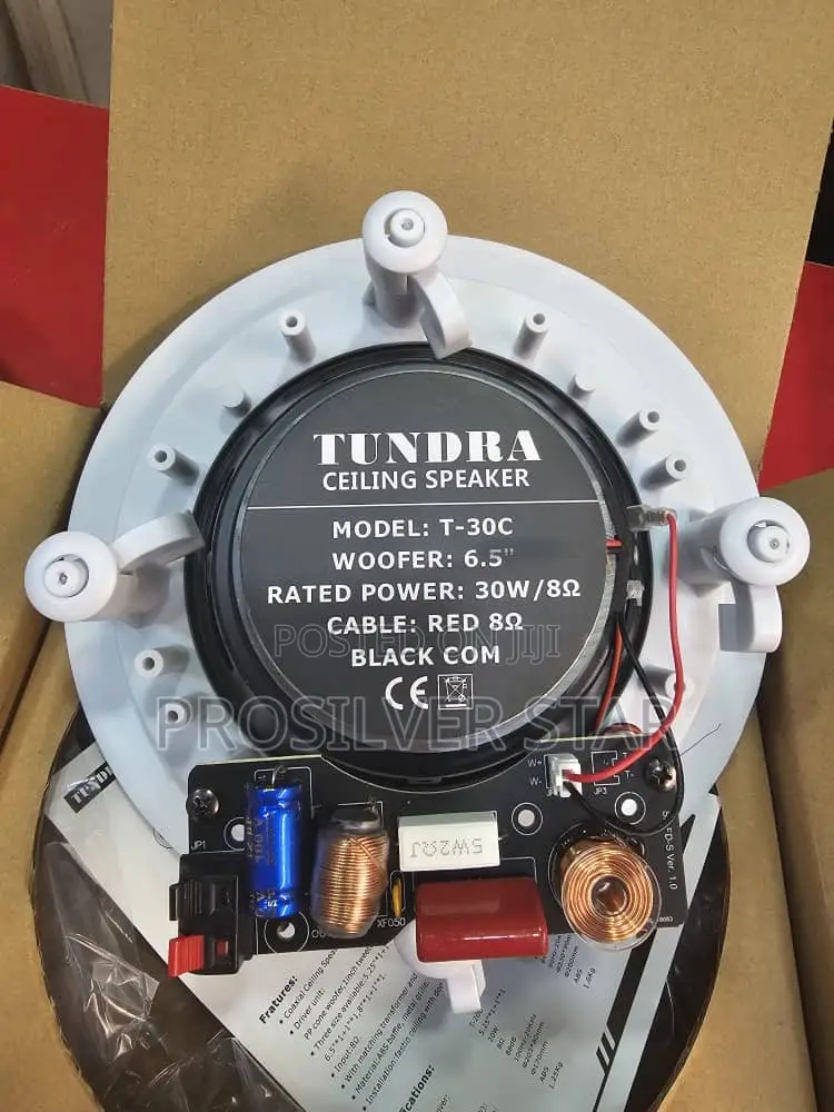 Tundra 30watts Frame Speaker T-30c