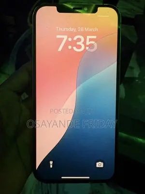 Apple iPhone 12 Pro Max 128 GB Rose Gold