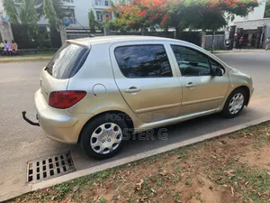 Peugeot 307 2007 Silver