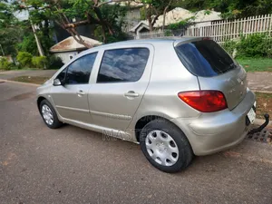 Peugeot 307 2007 Silver