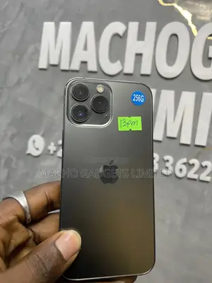 Apple iPhone 13 Pro Max 256 GB Gray
