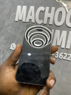 Apple iPhone 13 Pro Max 256 GB Gray