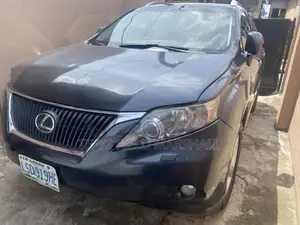 Lexus RX 350 2010 Gray