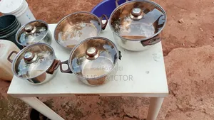 5 Stainless Pots/ Plates