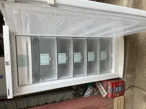 Liebher Five Steps Non Frost Standing Freezer