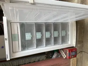 Liebher Five Steps Non Frost Standing Freezer