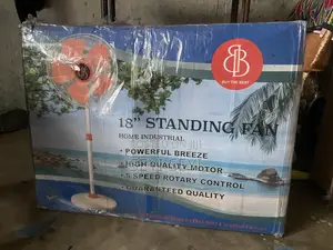 Standing Fan