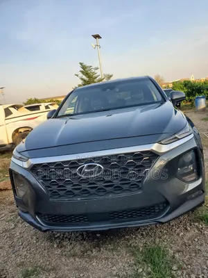 Hyundai Santa Fe 2020 Gray