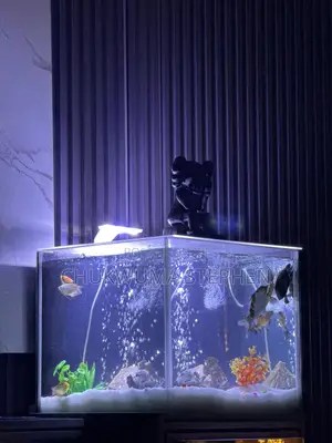 Aquarium Tank