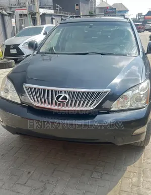 Lexus RX 350 2007 Gray