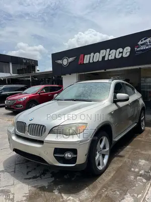 BMW X6 Sports Activity Coupe 2008 Silver