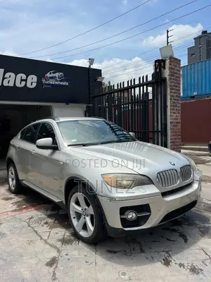 BMW X6 Sports Activity Coupe 2008 Silver
