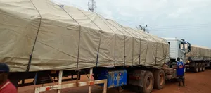 Dealer in Dangote and Boa Cement