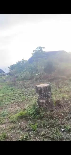 Dry Land for Sale in Ugbokodo Okpe
