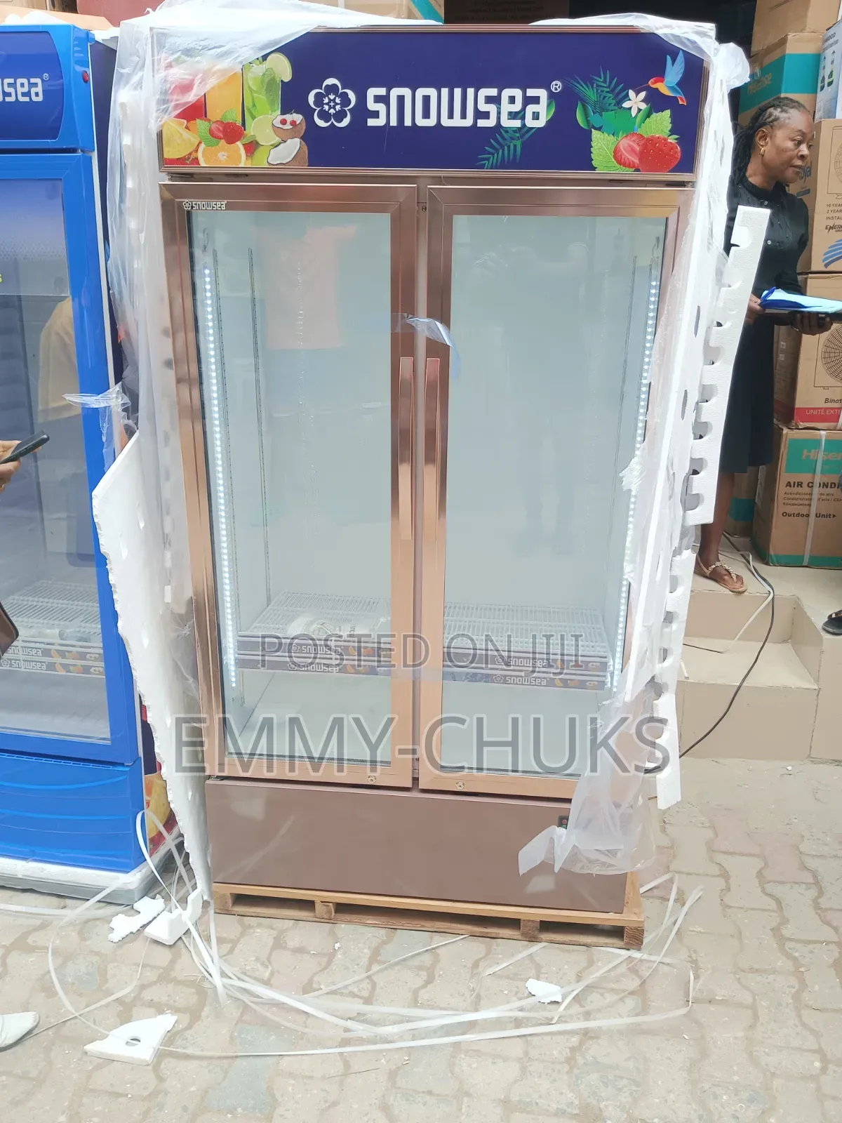 Snowsea Standing Chiller