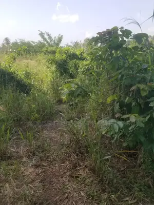 Per Plot At Emirin Village, Idolofin Off Federal Poly, Road ,Ado Ekiti