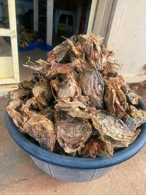 Stockfish Head