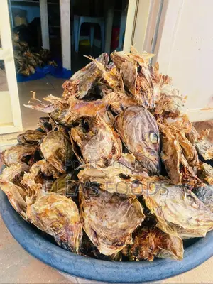 Stockfish Head