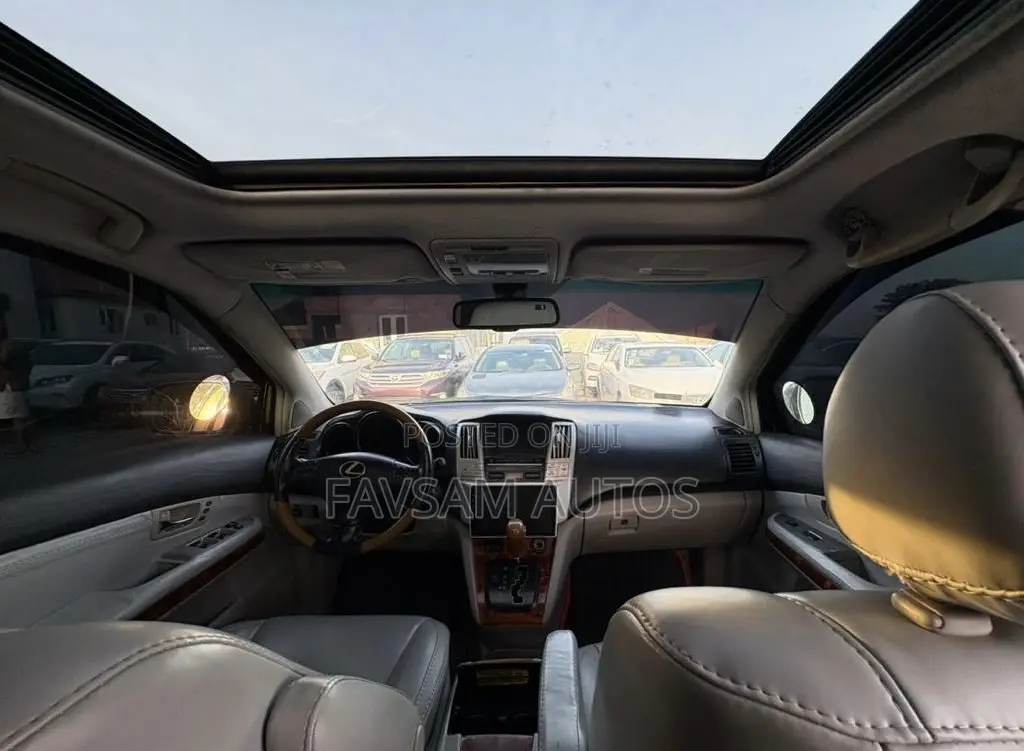 Lexus RX 2007 Gray