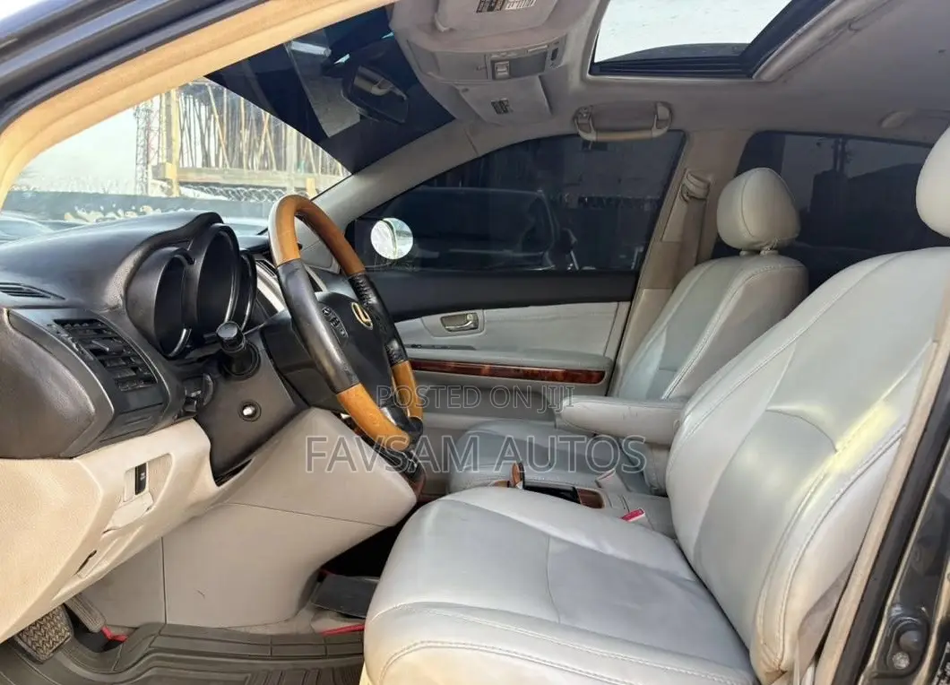 Lexus RX 2007 Gray