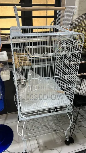 High Quality Beautiful Parrots Birds Cage