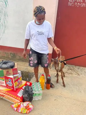 Foodstuffs Contribution
