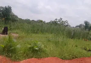 Premium Plot of Land Within Maba Off Redeem Camp/Aseese Link Rd