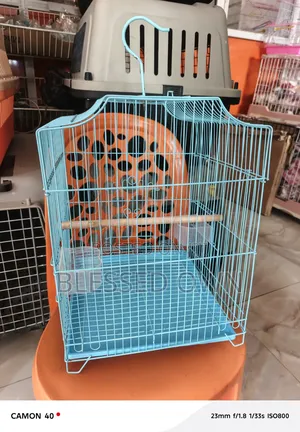 Beautiful Parrots Bird Cage