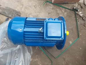 Electric Motor