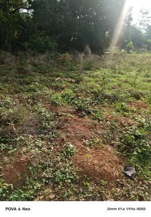 6 Ploplots of Land for Sale at Ibiono, Akwa Ibom