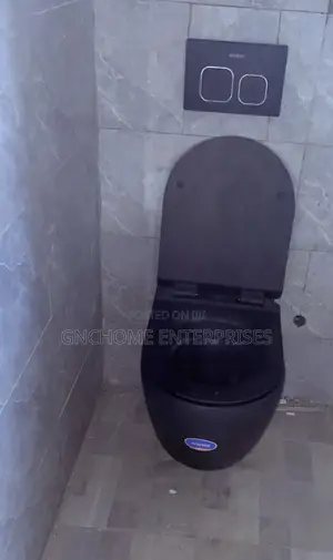 Black Wall Mounted Wc