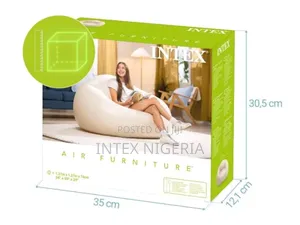 Intex Inflatable Chair