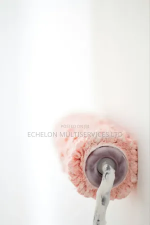 Paint Roller for Wall Painting