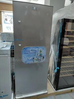 Solar Inverter Standing Freezer/Ice Block Maker