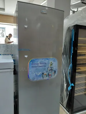 Solar Inverter Standing Freezer/Ice Block Maker