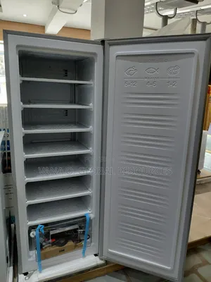 Solar Inverter Standing Freezer/Ice Block Maker