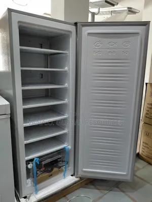 Solar Inverter Standing Freezer/Ice Block Maker