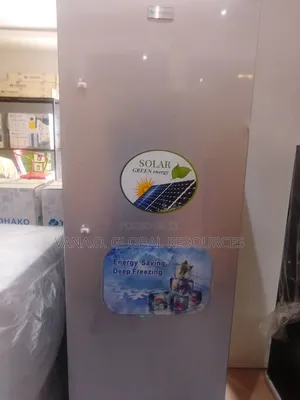 Solar Inverter Standing Freezer/Ice Block Maker